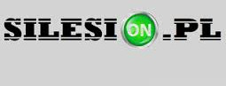 silesion.pl